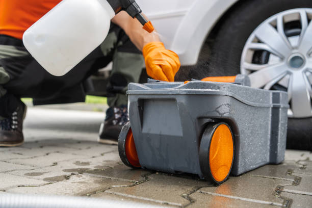 Leaf Removal in Gainesville, TX